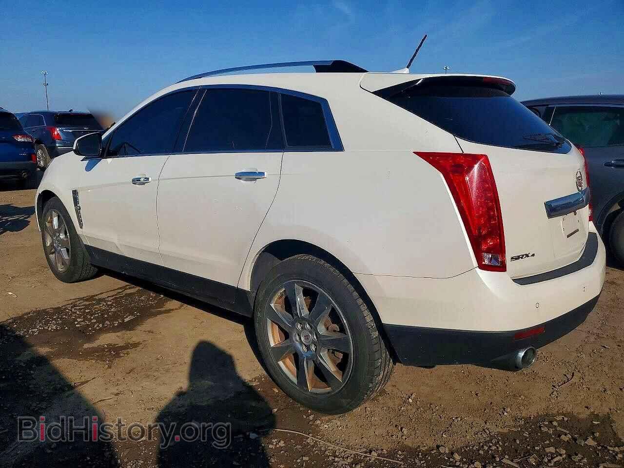2011 CADILLAC SRX - VIN: 3GYFNKE65BS569372 - Фото 2