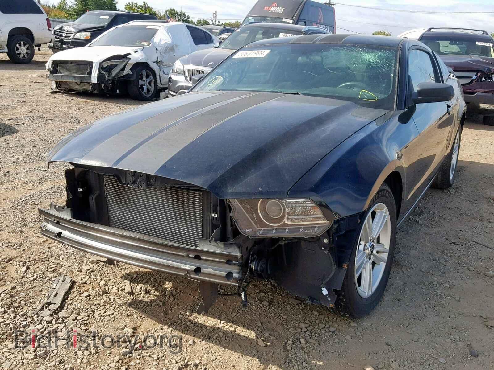 2014 FORD MUSTANG - VIN: 1ZVBP8AM8E5271237 - Фото 2