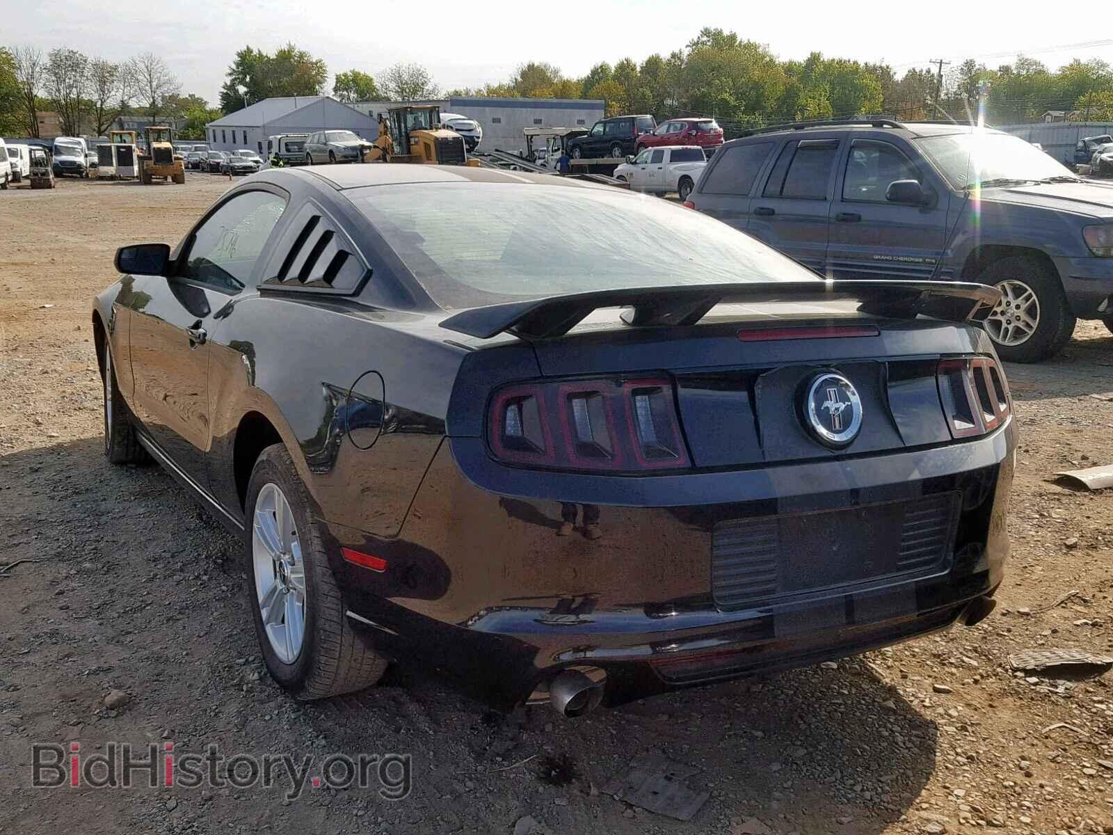 2014 FORD MUSTANG - VIN: 1ZVBP8AM8E5271237 - Фото 3