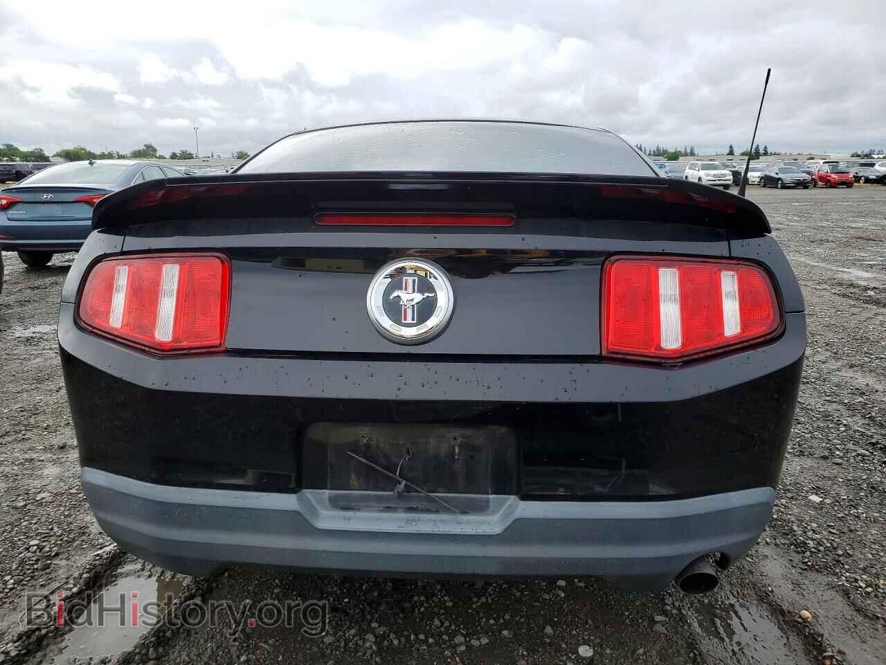 2010 FORD MUSTANG - VIN: 1ZVBP8AN5A5100805 - Фото 6
