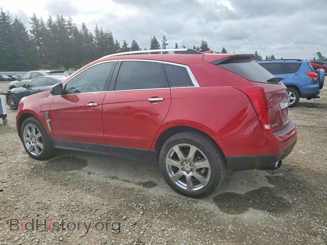 2012 CADILLAC SRX - VIN: 3GYFNFE31CS524976 - Photo 2