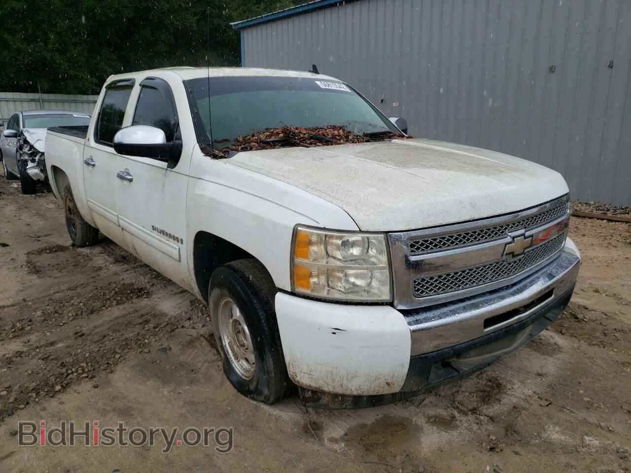 Фотография 3GCEC13C19G260005 - CHEVROLET SILVERADO 2009
