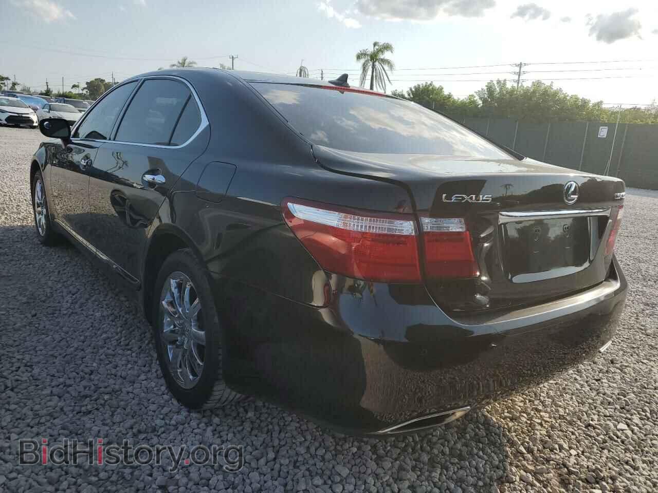 2009 LEXUS LS460 - VIN: JTHGL46F295034528 - Фото 2