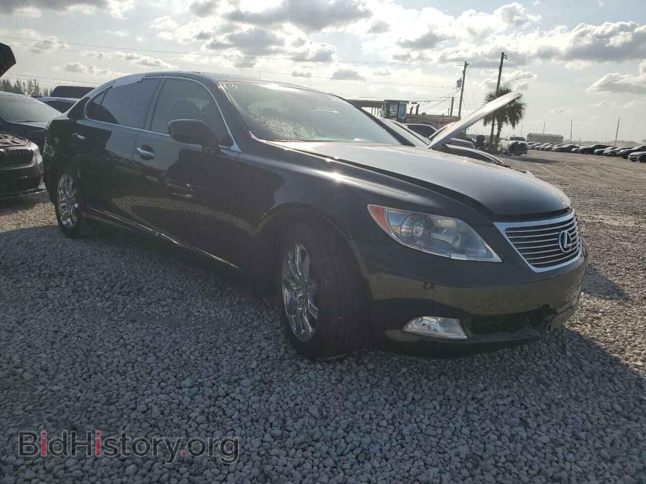2009 LEXUS LS460 - VIN: JTHGL46F295034528 - Фото 4