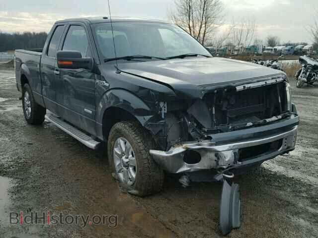 Photo 1FTFX1ET1DFA44302 - FORD F150 2013