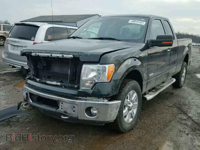 2013 FORD F150 - VIN: 1FTFX1ET1DFA44302 - Фото 2