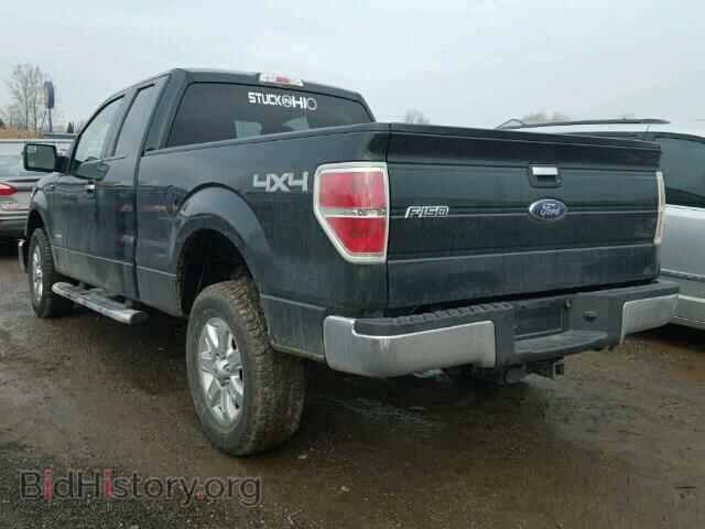 2013 FORD F150 - VIN: 1FTFX1ET1DFA44302 - Фото 3