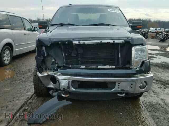 2013 FORD F150 - VIN: 1FTFX1ET1DFA44302 - Фото 9