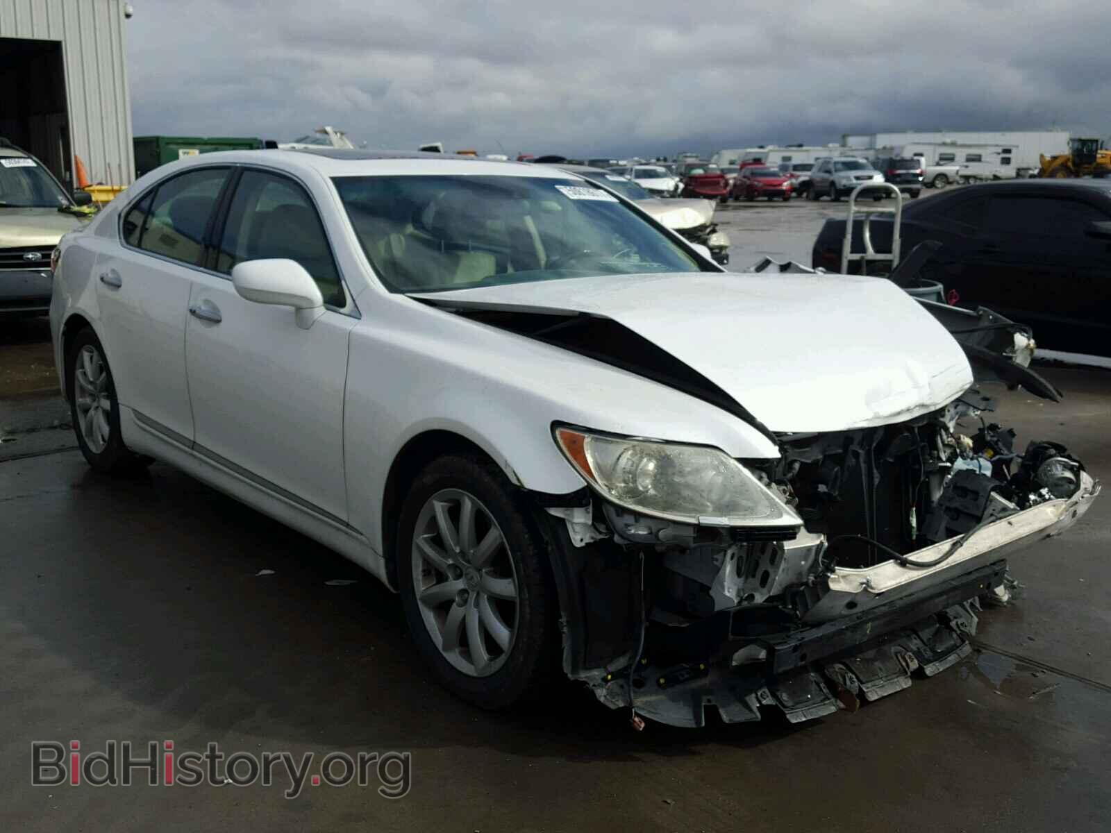 Фотография JTHBL46F285058451 - LEXUS LS460 2008