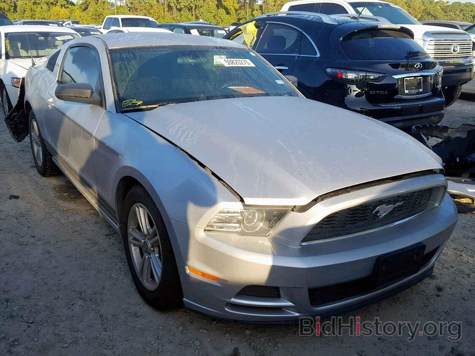 Photo 1ZVBP8AMXD5278866 - FORD MUSTANG 2013