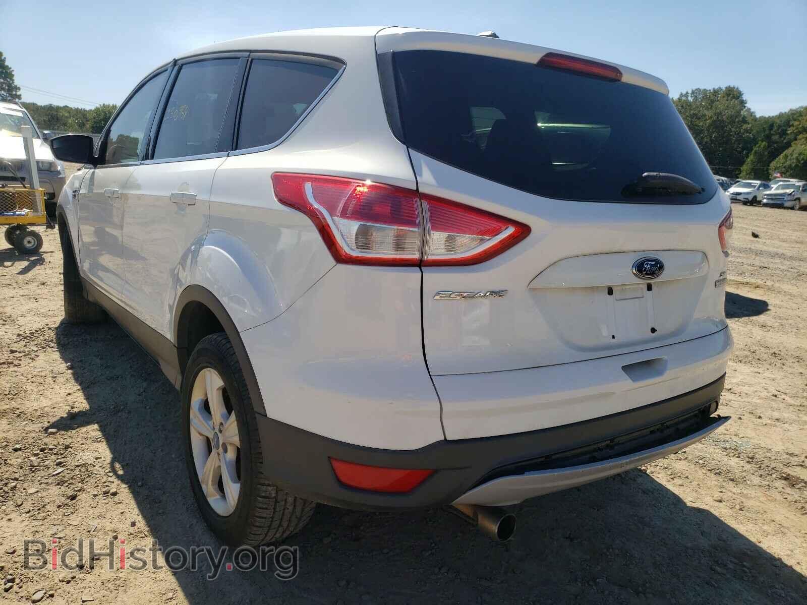 2013 FORD ESCAPE - VIN: 1FMCU0GX6DUC04381 - Фото 3