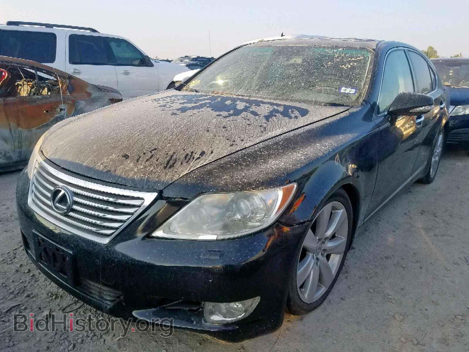2010 LEXUS LS460 - VIN: JTHCL5EF9A5005232 - Фото 2