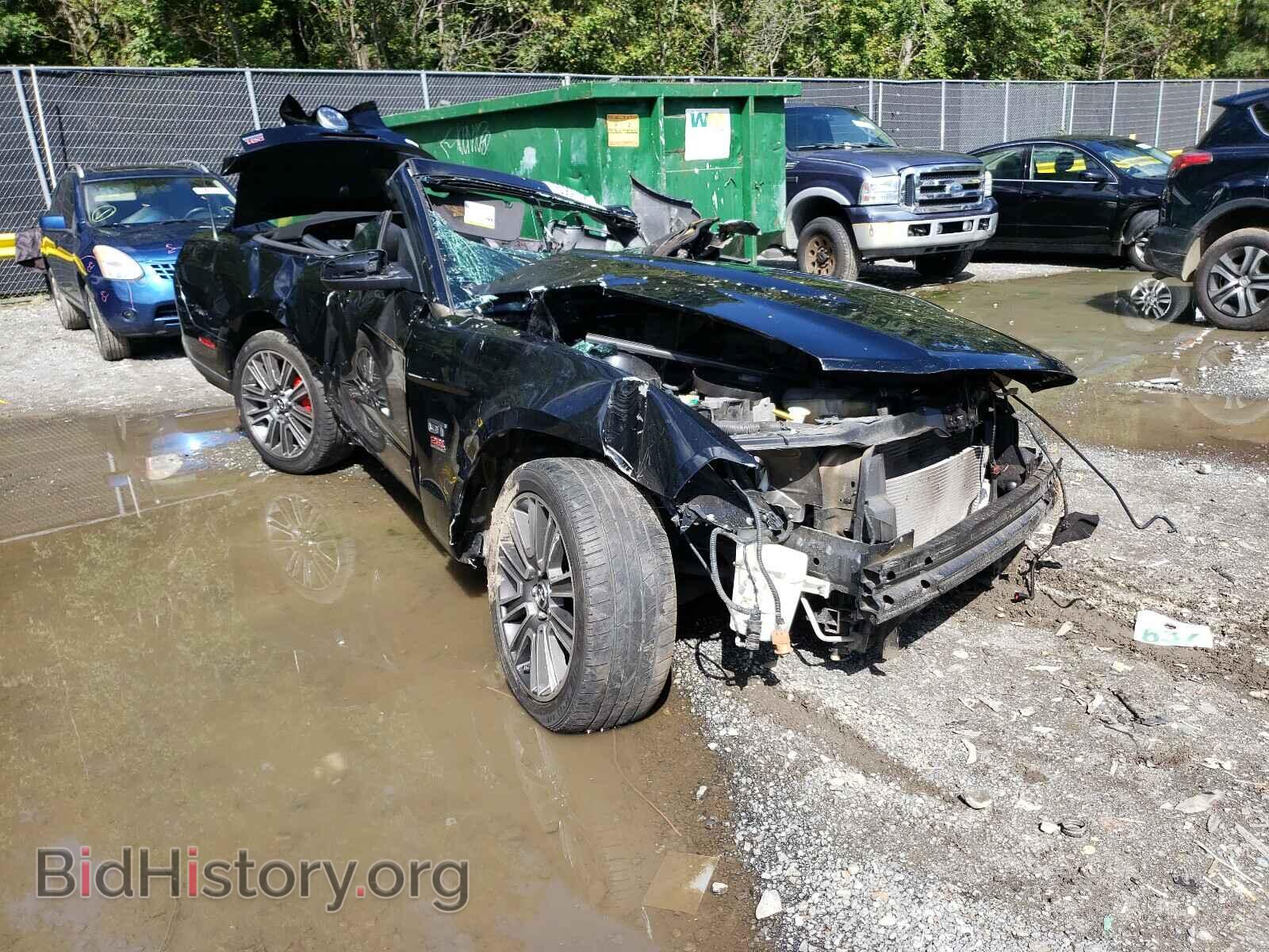 Photo 1ZVBP8FH3A5134986 - FORD MUSTANG 2010