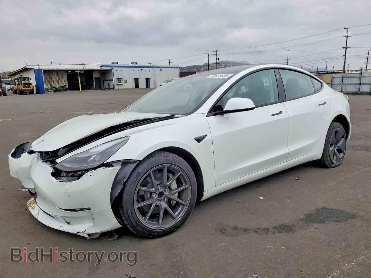 Photo 5YJ3E1EA1PF580862 - TESLA MODEL 3 2023