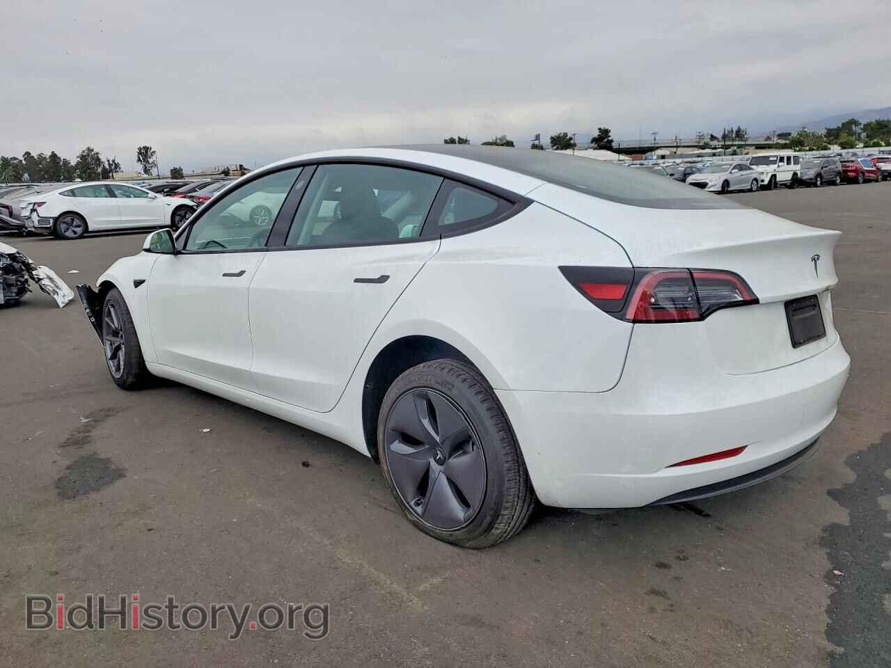 2023 TESLA MODEL 3 - VIN: 5YJ3E1EA1PF580862 - Photo 2