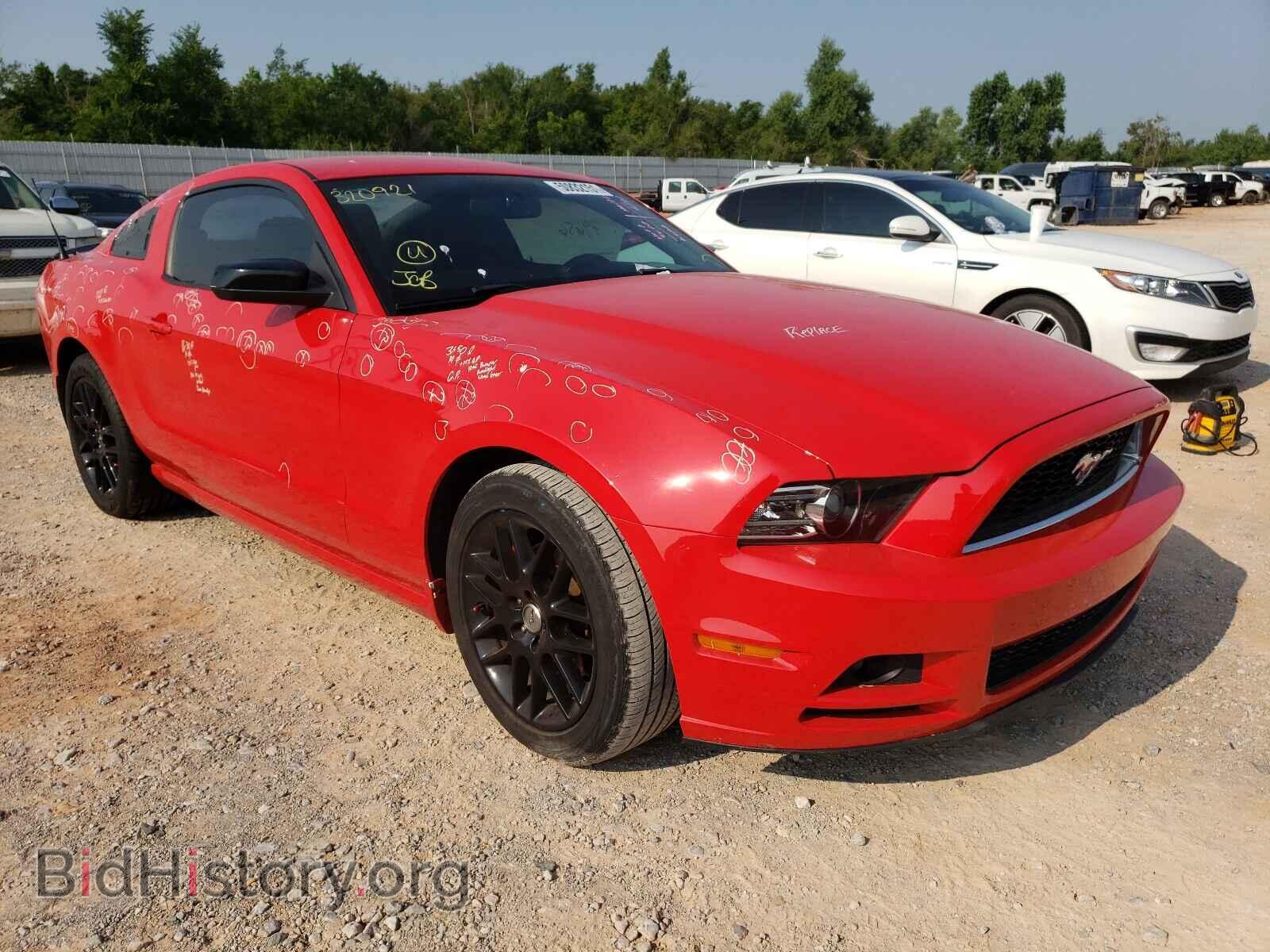 Photo 1ZVBP8AM4E5320921 - FORD MUSTANG 2014