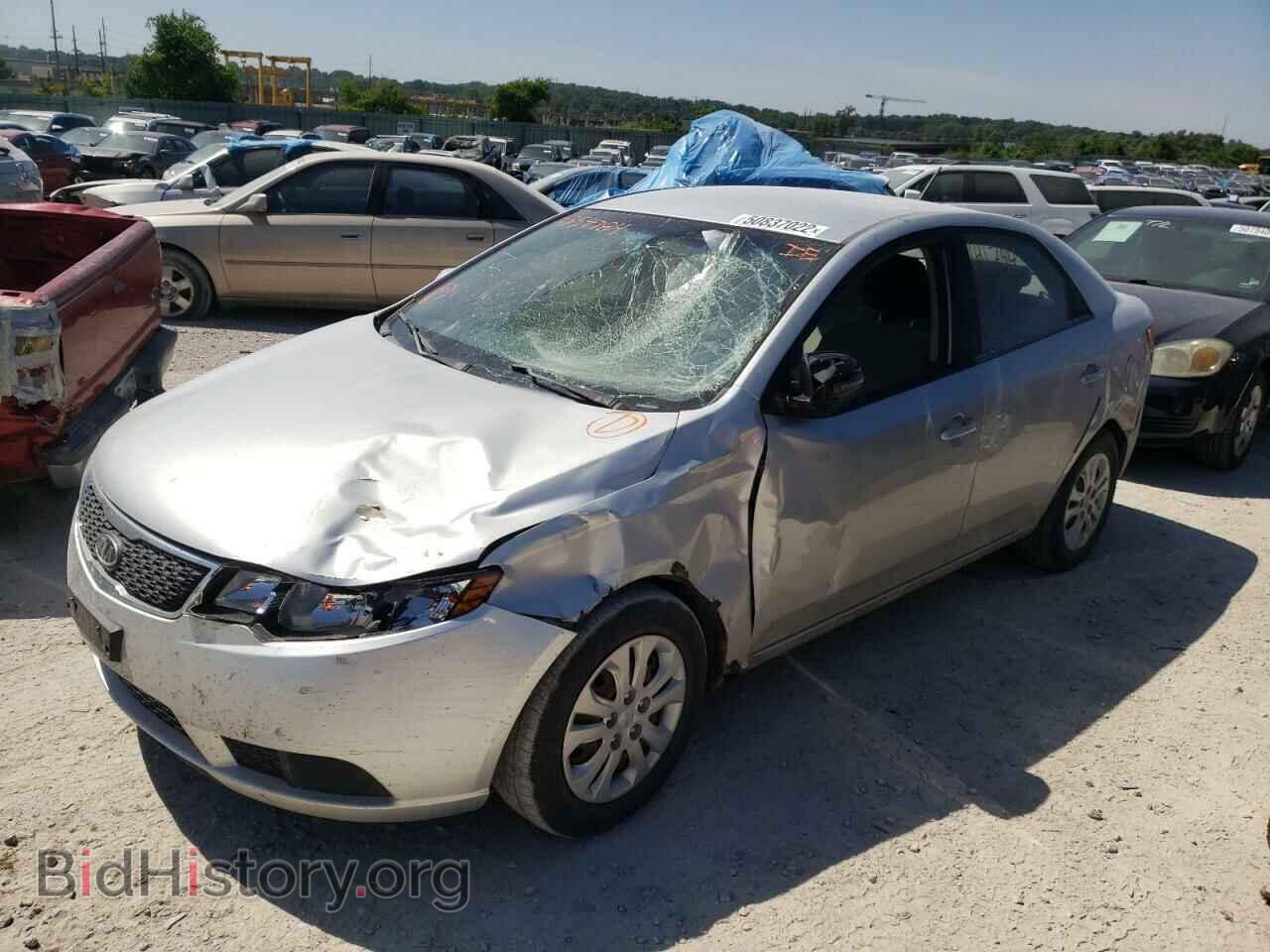 2011 KIA FORTE - VIN: KNAFU4A22B5354384 - Фото 2