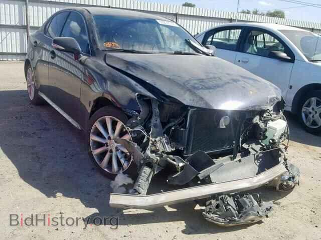 Фотография JTHBK262095095584 - LEXUS IS 250 2009