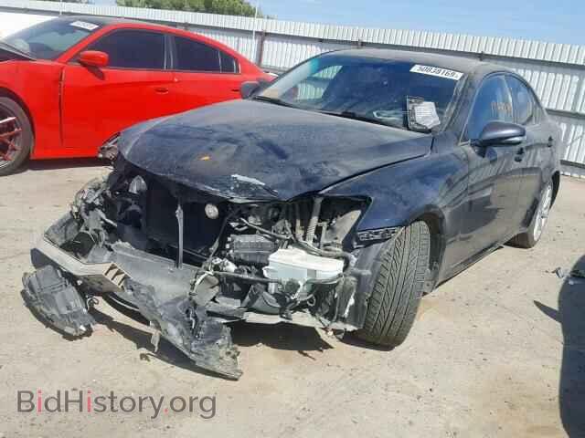 2009 LEXUS IS 250 - VIN: JTHBK262095095584 - Фото 2
