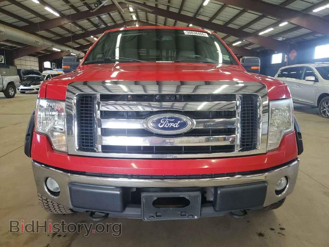 2010 FORD F-150 - VIN: 1FTEW1E80AFA80858 - Фото 5