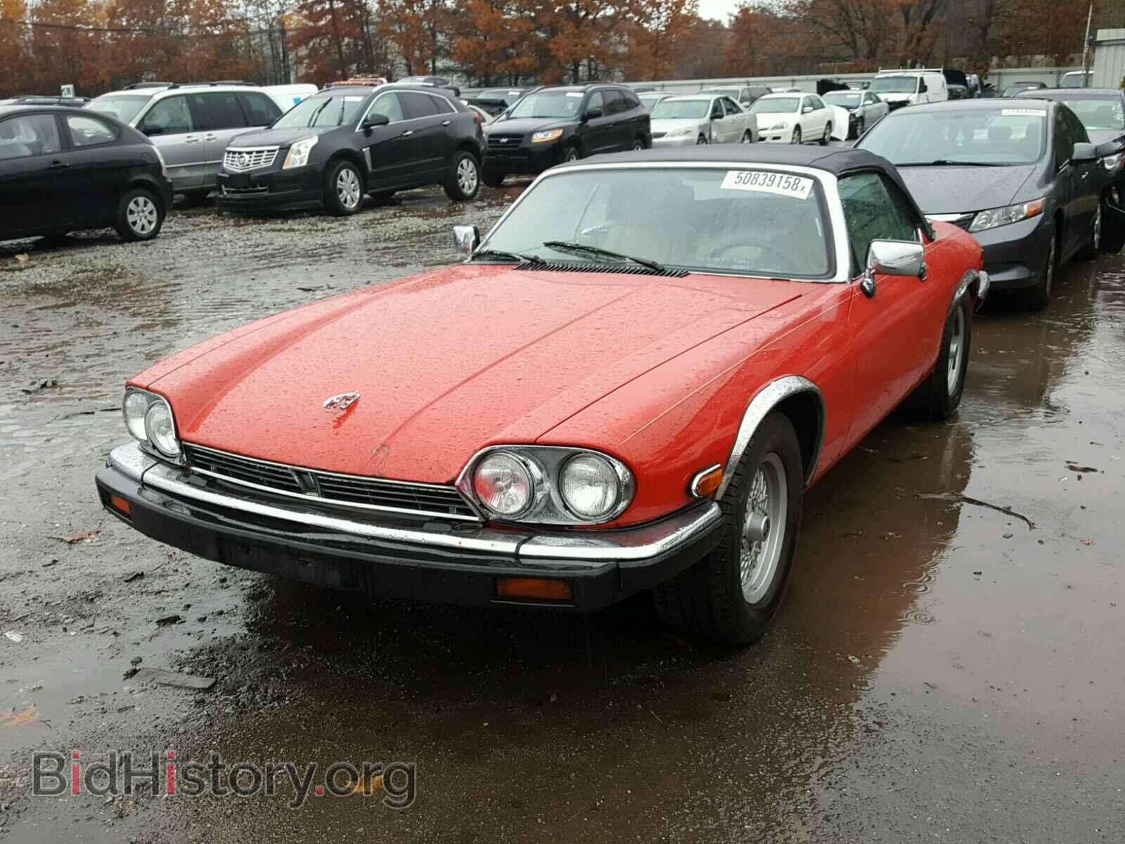 1990 JAGUAR XJS - VIN: SAJNW4840LC168809 - Фото 2