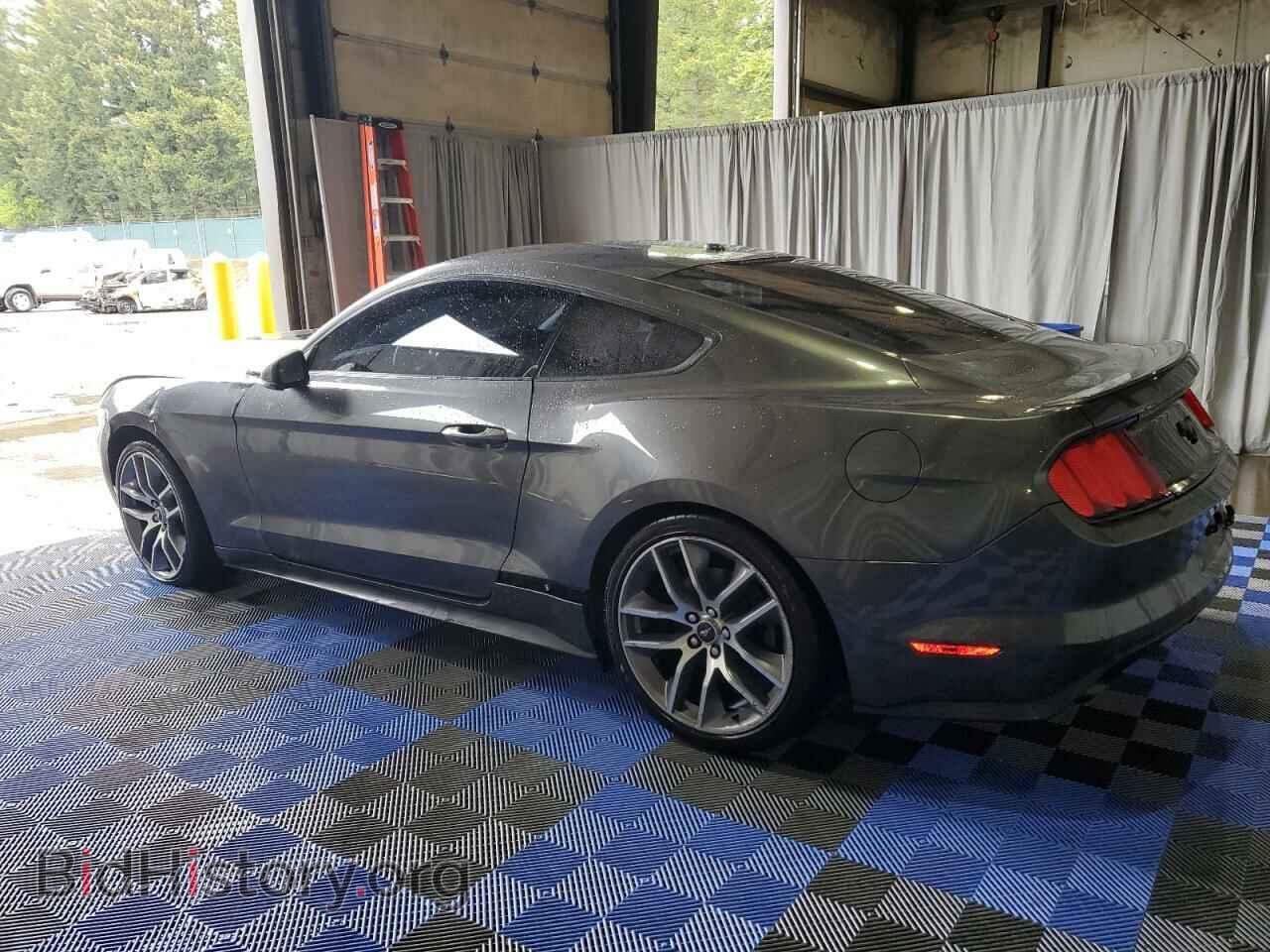 2017 FORD ALL Models - VIN: 1FA6P8TH1H5289965 - Фото 2
