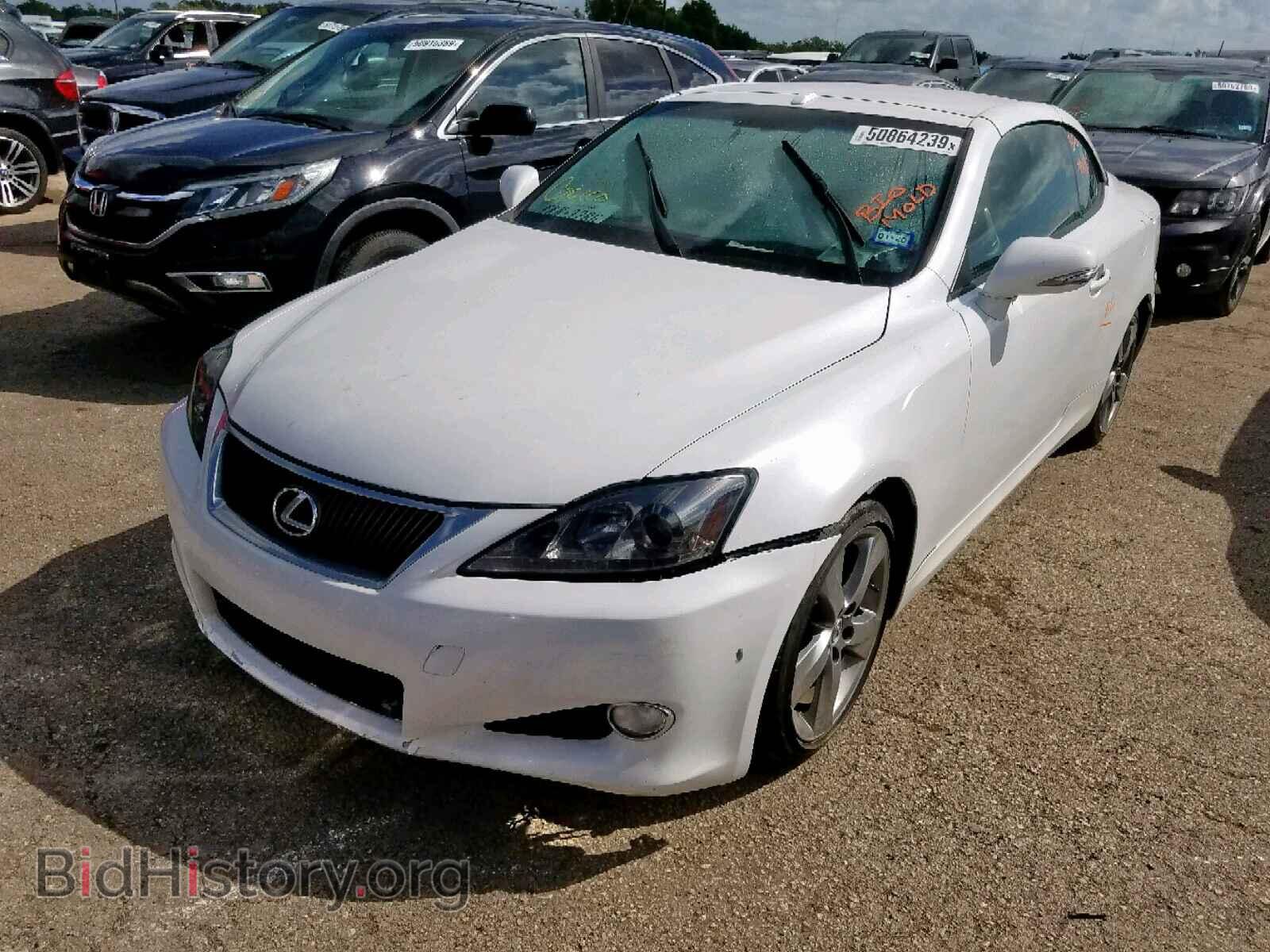 2010 LEXUS IS 250 - VIN: JTHFF2C2XA2500706 - Фото 2