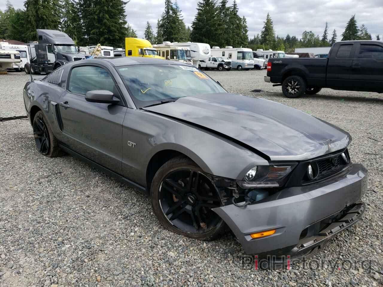 Photo 1ZVBP8CH0A5151460 - FORD MUSTANG 2010