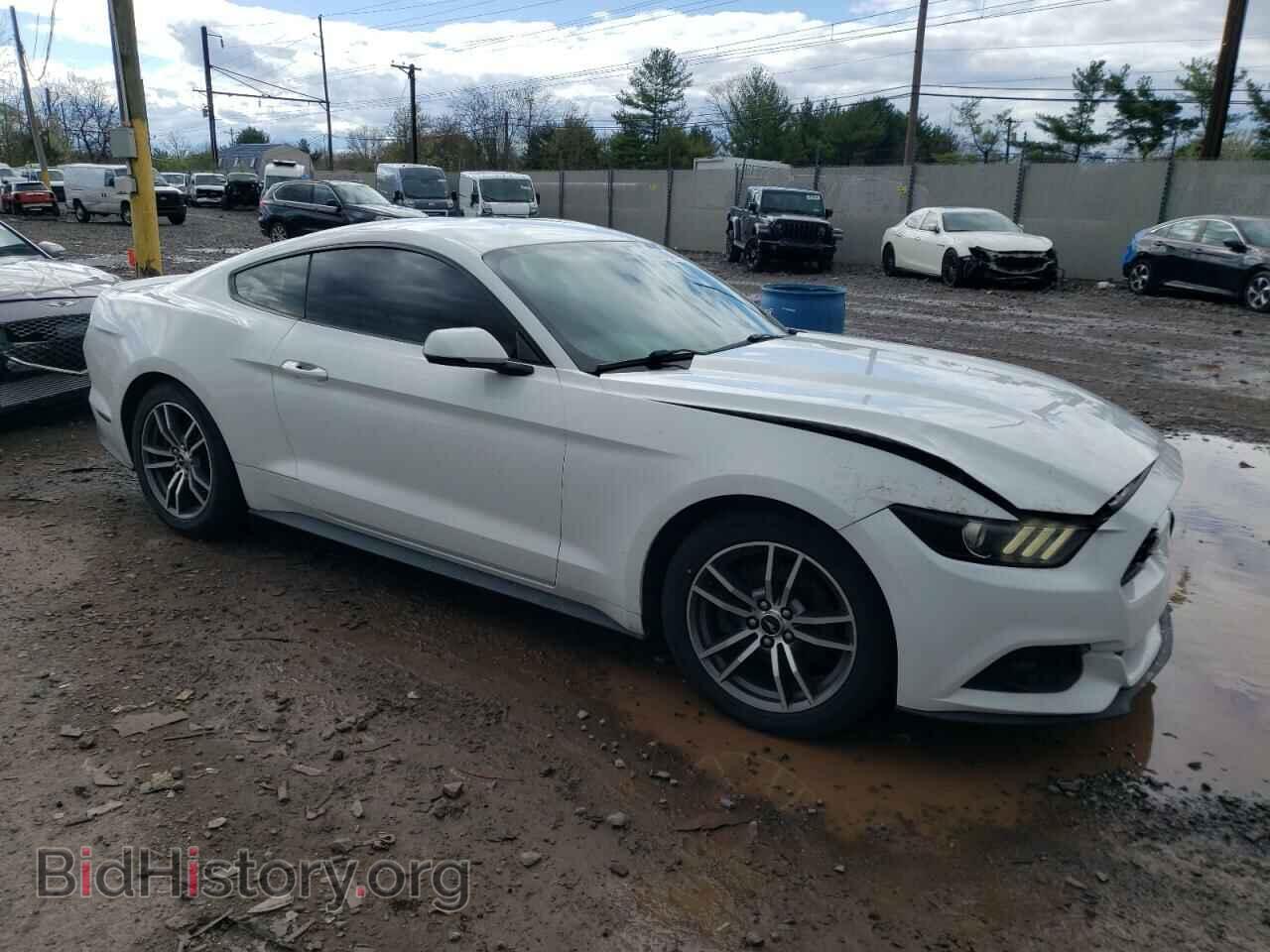 2015 FORD ALL Models - VIN: 1FA6P8TH6F5303209 - Фото 4