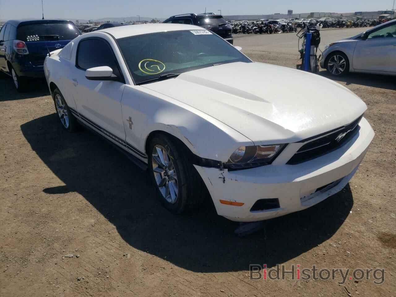 Photo 1ZVBP8AN9A5105148 - FORD MUSTANG 2010