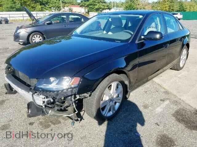 2011 AUDI A4 - VIN: WAUBFAFL4BN041202 - Фото 2