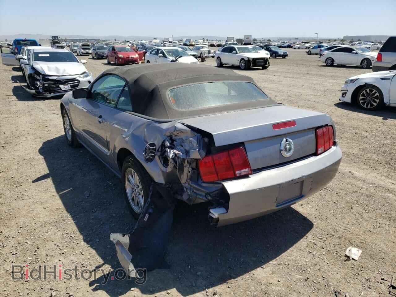 2006 FORD MUSTANG - VIN: 1ZVFT84NX65102078 - Фото 3