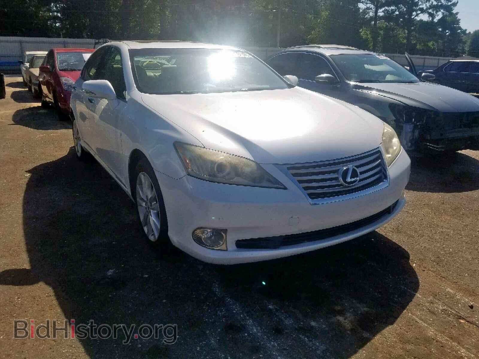 Photo JTHBK1EG7A2348106 - LEXUS ES350 2010