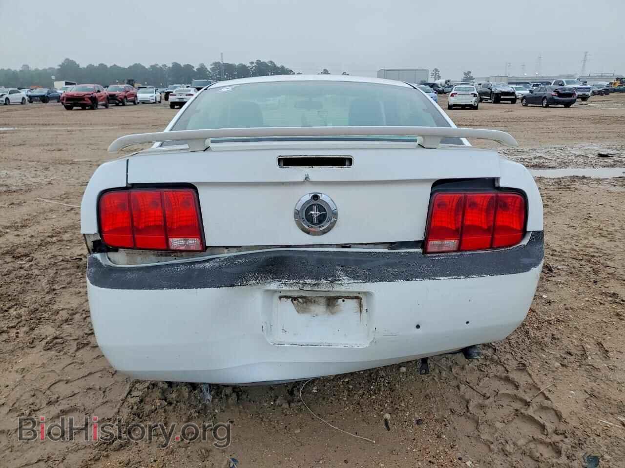 2005 FORD MUSTANG - VIN: 1ZVFT80N155118108 - Фото 6