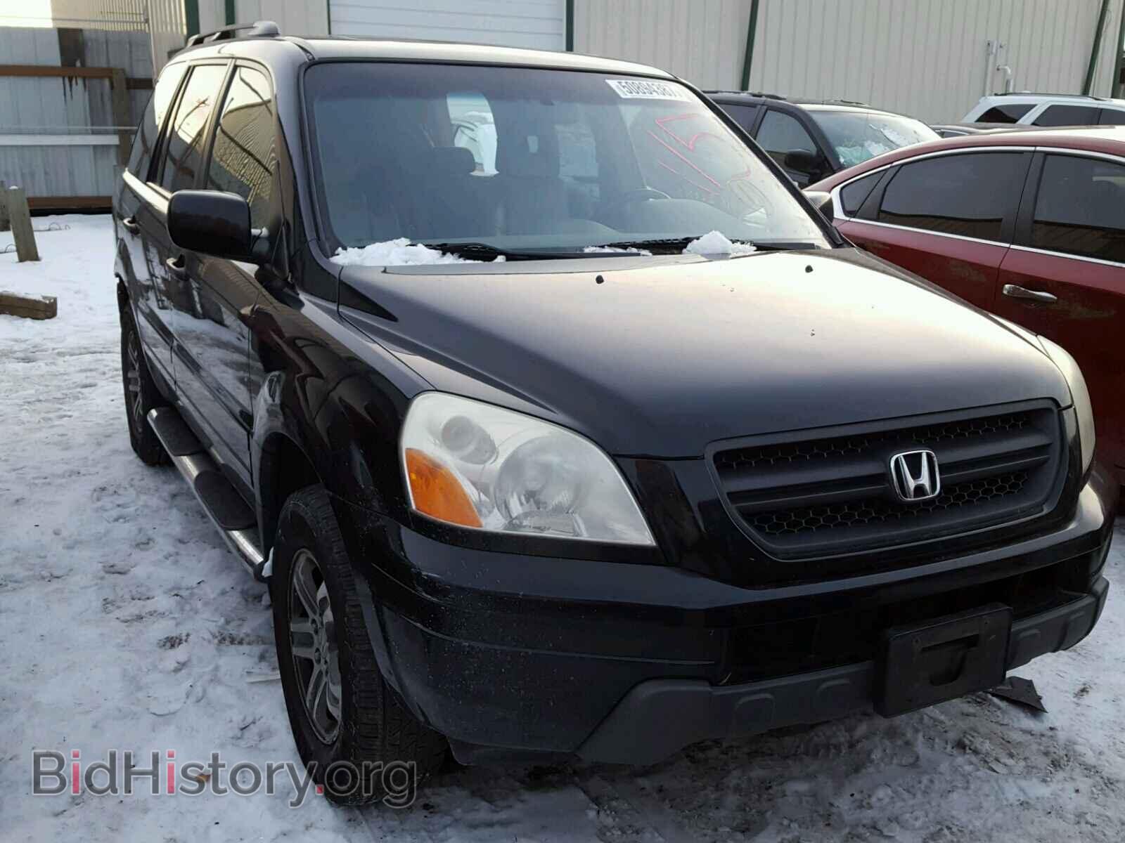Фотография 5FNYF18545B009316 - HONDA PILOT 2005