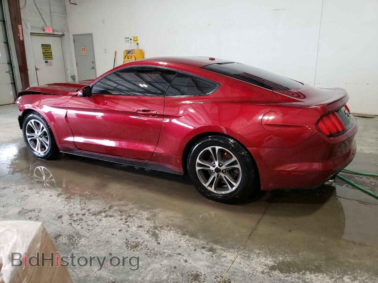 2017 FORD ALL Models - VIN: 1FA6P8TH7H5282275 - Фото 2