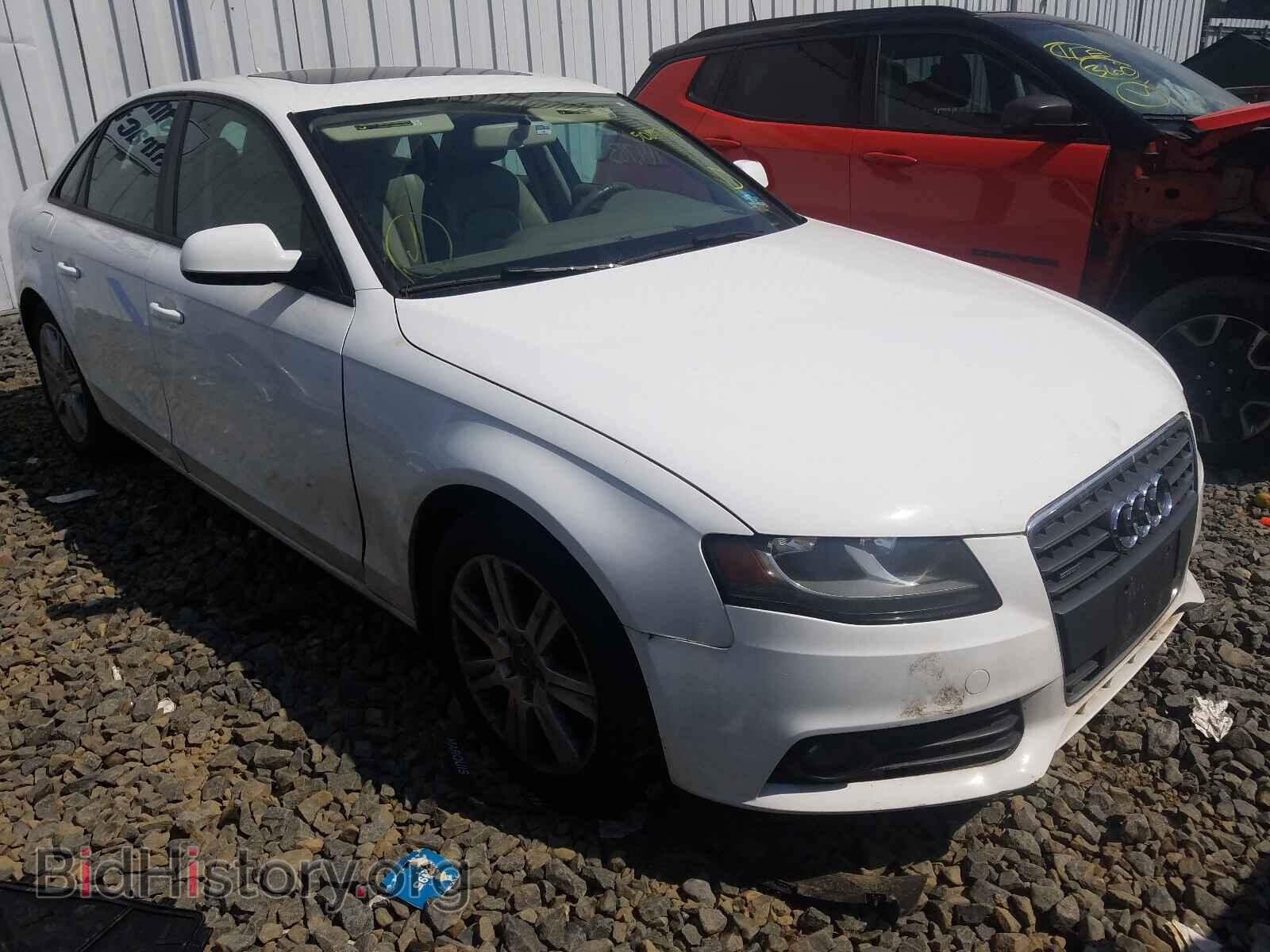 Фотография WAUBFAFL8BA057040 - AUDI A4 2011