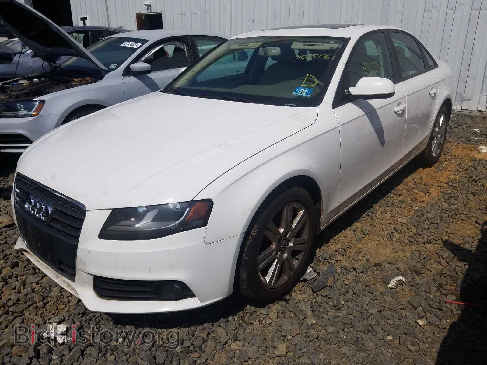 2011 AUDI A4 - VIN: WAUBFAFL8BA057040 - Фото 2