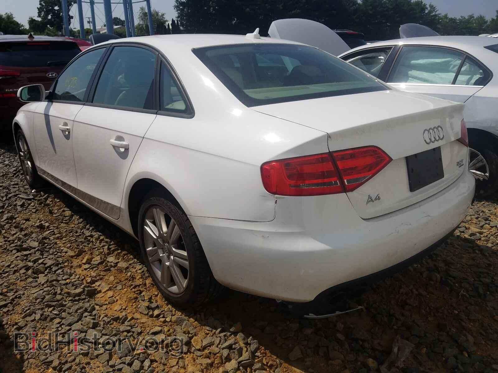 2011 AUDI A4 - VIN: WAUBFAFL8BA057040 - Фото 3