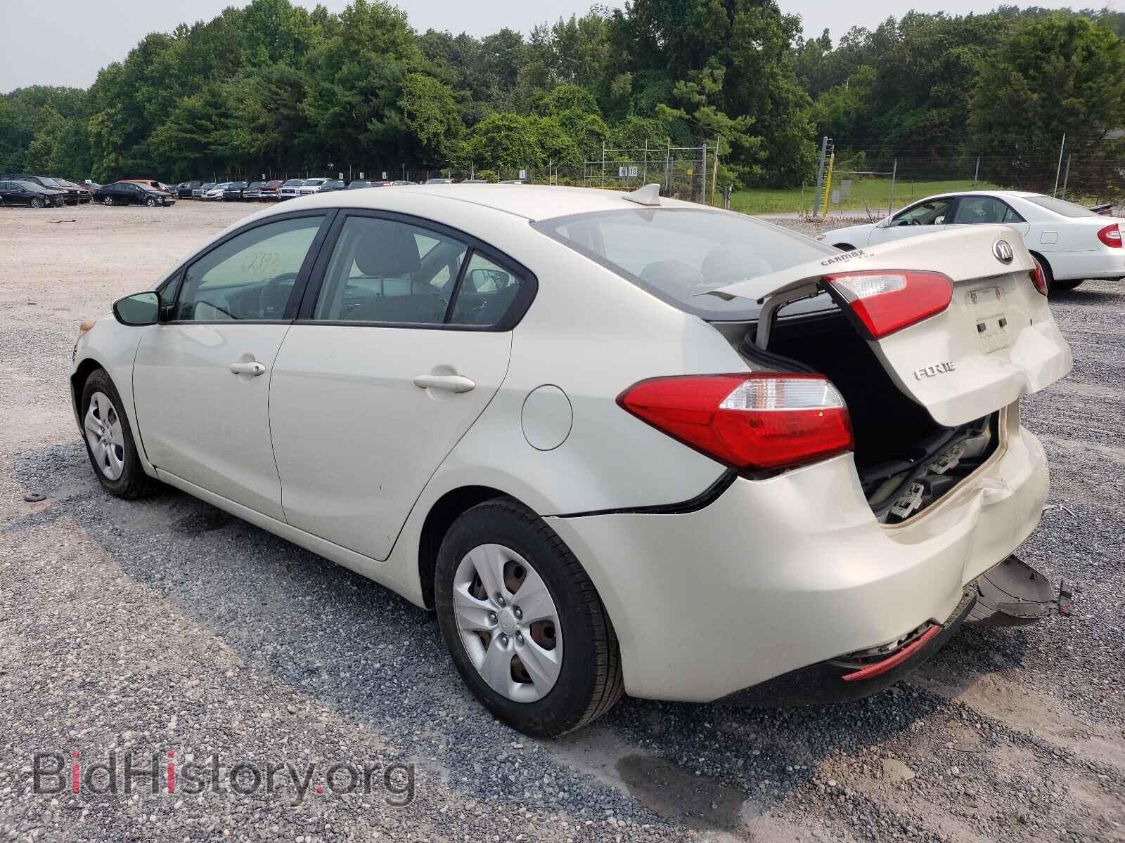 2015 KIA FORTE - VIN: KNAFK4A64F5317920 - Фото 3