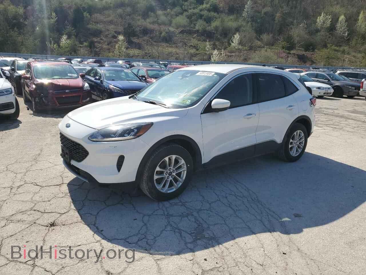 Photo 1FMCU9G64LUA59948 - FORD ESCAPE 2020
