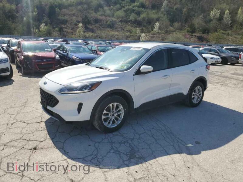 2020 Ford ESCAPE SE (VIN 1FMCU9G64LUA59948) — фото 1 из 13, Copart, повреждение: мелкие вмятины и царапины