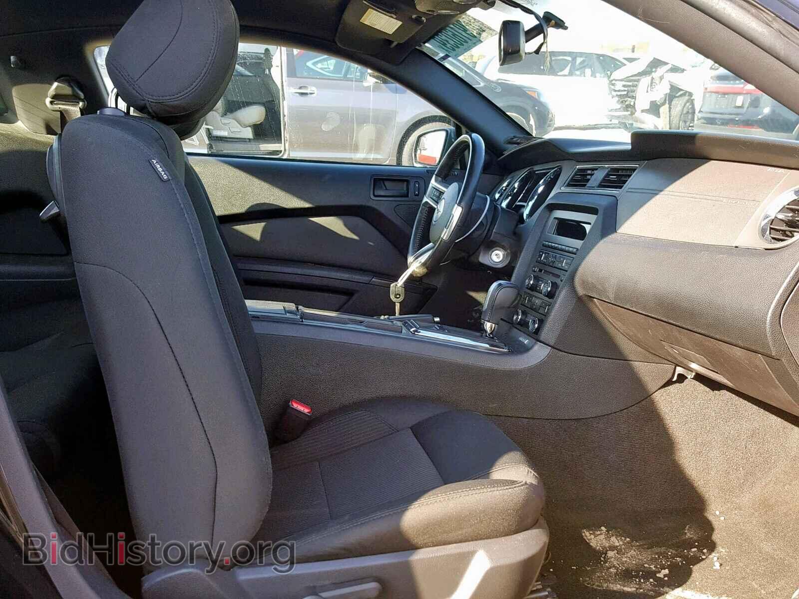 2014 FORD MUSTANG - VIN: 1ZVBP8AM4E5263054 - Фото 5