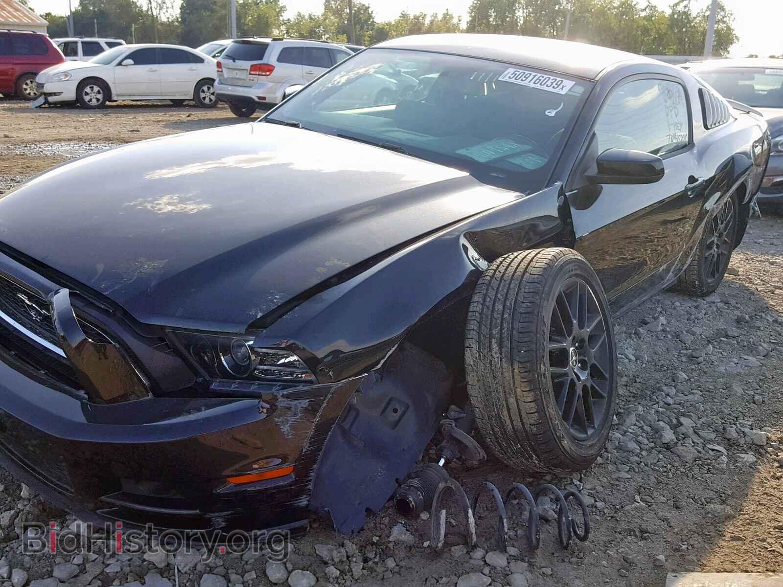 2014 FORD MUSTANG - VIN: 1ZVBP8AM4E5263054 - Фото 9