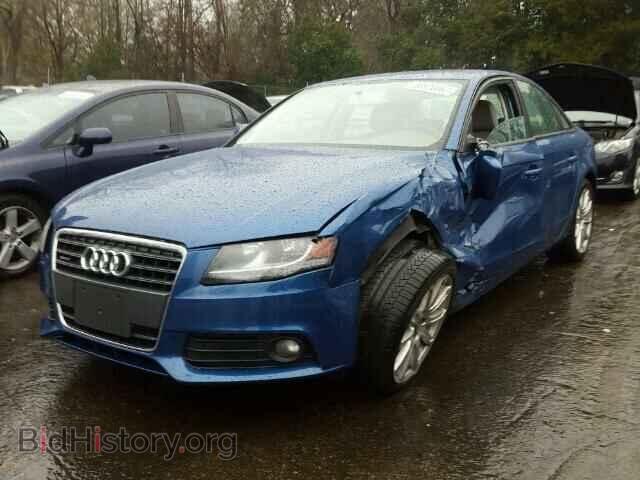 2010 AUDI A4 - VIN: WAUBFAFLXAN061498 - Фото 2