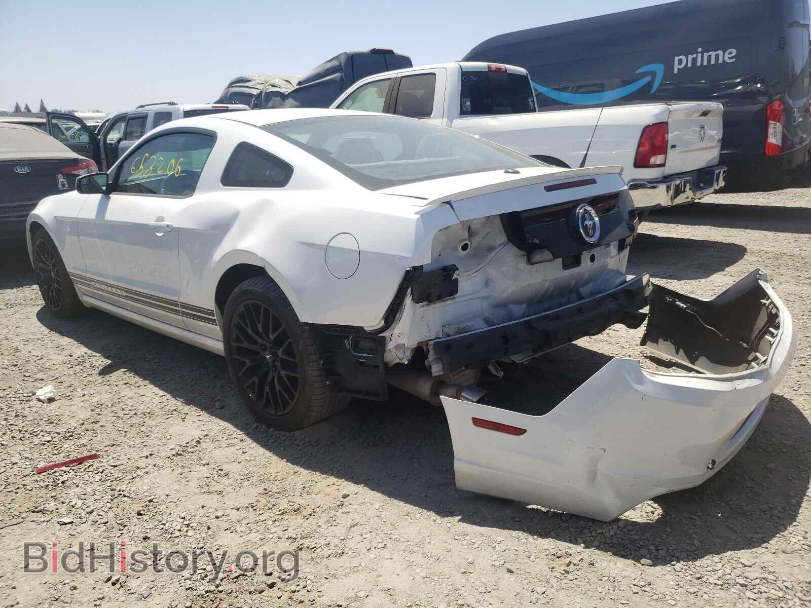 2014 FORD MUSTANG - VIN: 1ZVBP8AM8E5201656 - Фото 3