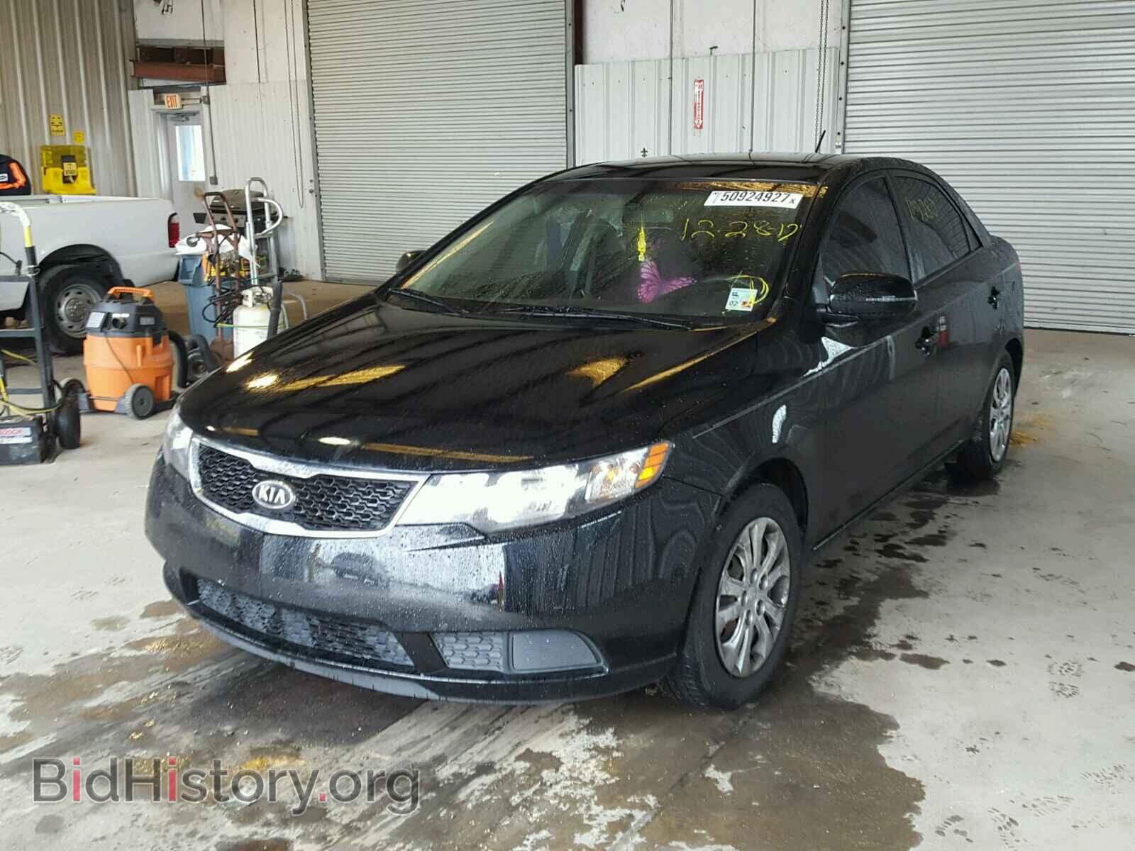 2012 KIA FORTE - VIN: KNAFU4A27C5597559 - Фото 2