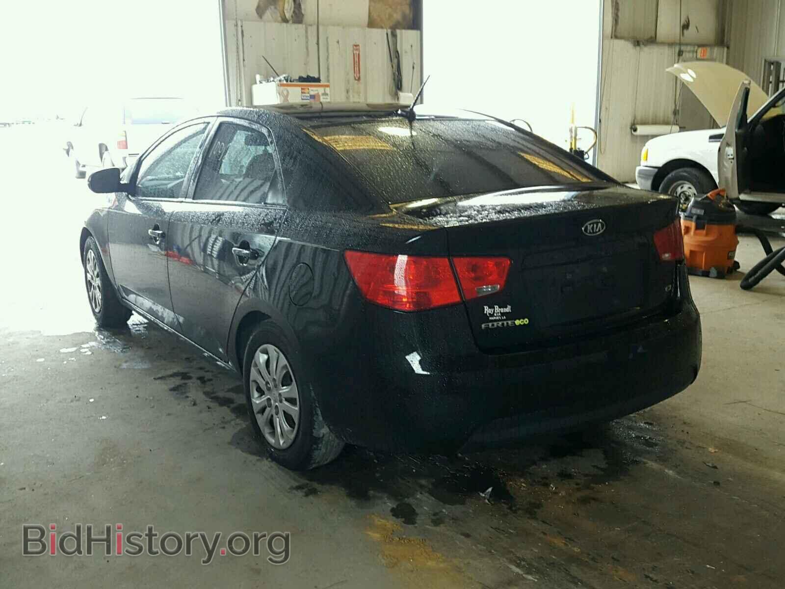 2012 KIA FORTE - VIN: KNAFU4A27C5597559 - Фото 3
