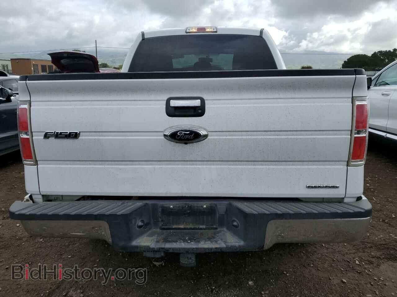 2013 FORD F-150 - VIN: 1FTFW1CF5DFD27219 - Фото 6