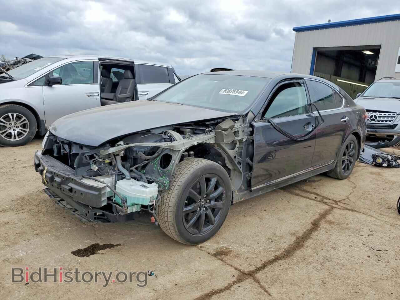 Фотография JTHBL46F975030001 - LEXUS LS460 2007